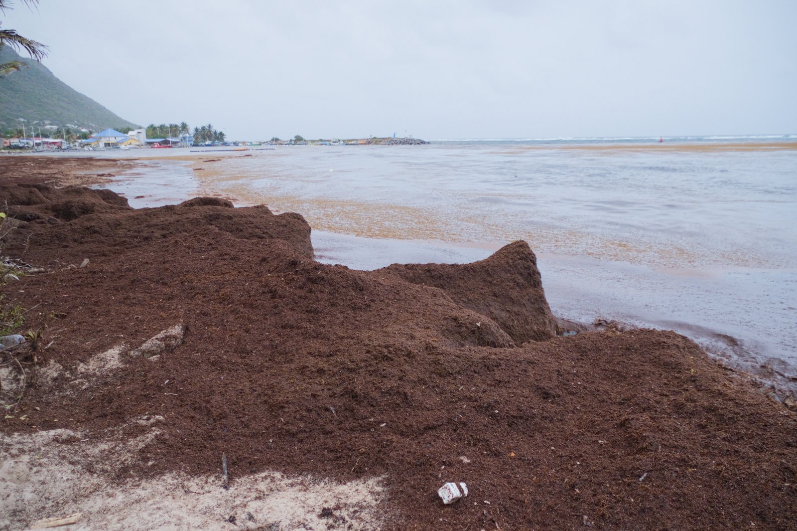 Plage a Fanfan